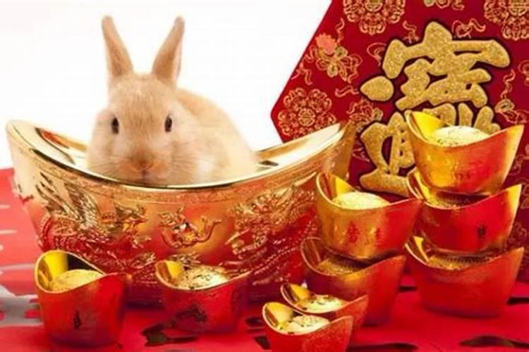 属兔人每日运势,属兔人2017年运势