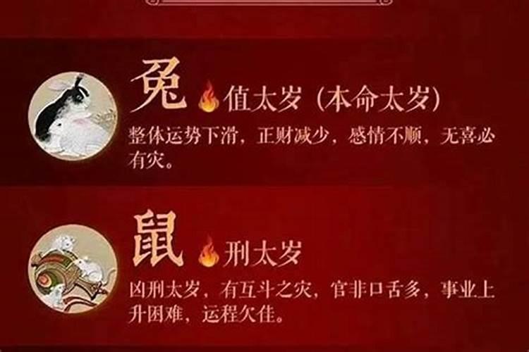 属猪2025年犯太岁怎么化解
