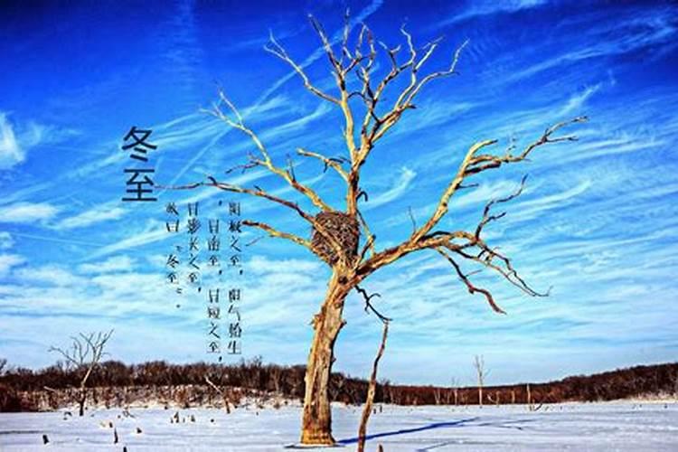 哪个生肖的狮子座是富翁