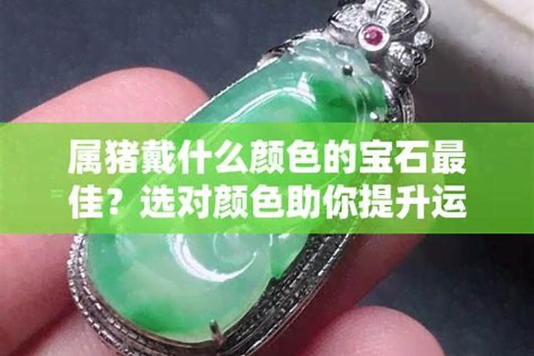 猪什么时辰出生最厉害