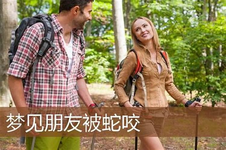 梦见朋友被蛇咬了是什么意思