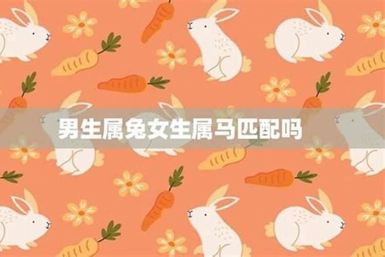 属兔男并不喜欢属马女