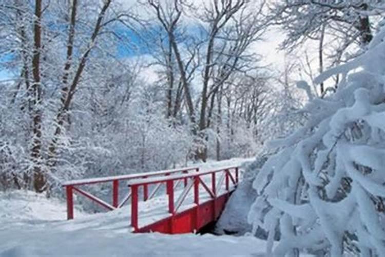 梦见刮风下雪是什么意思？