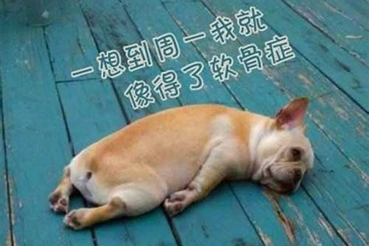 形容自己运气差的幽默说说有哪些？