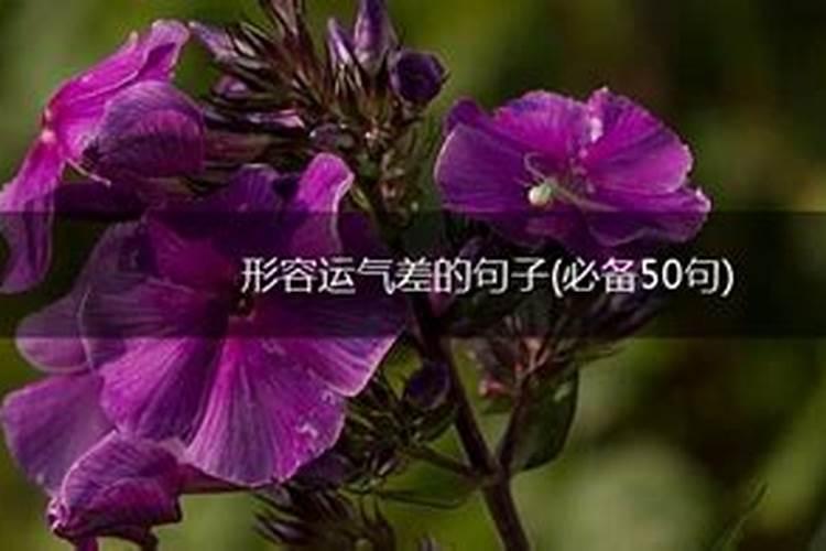 形容人倒霉不顺网名