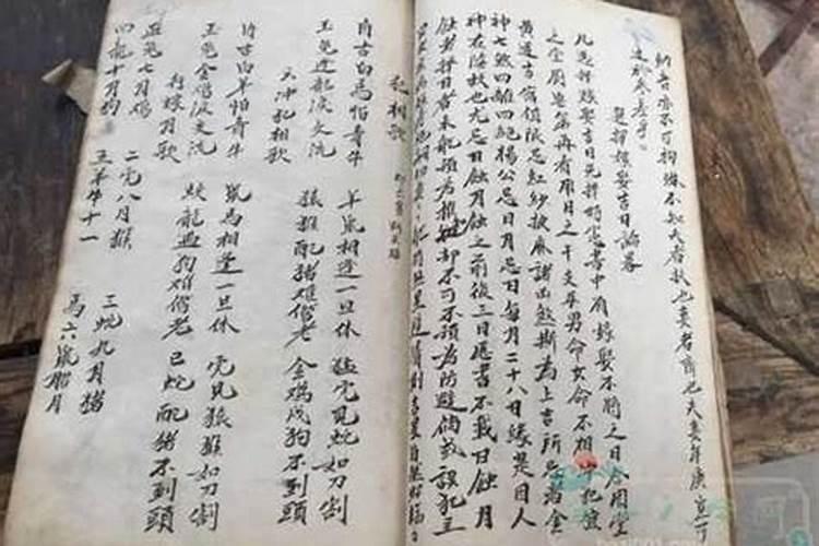 卯木代表什么