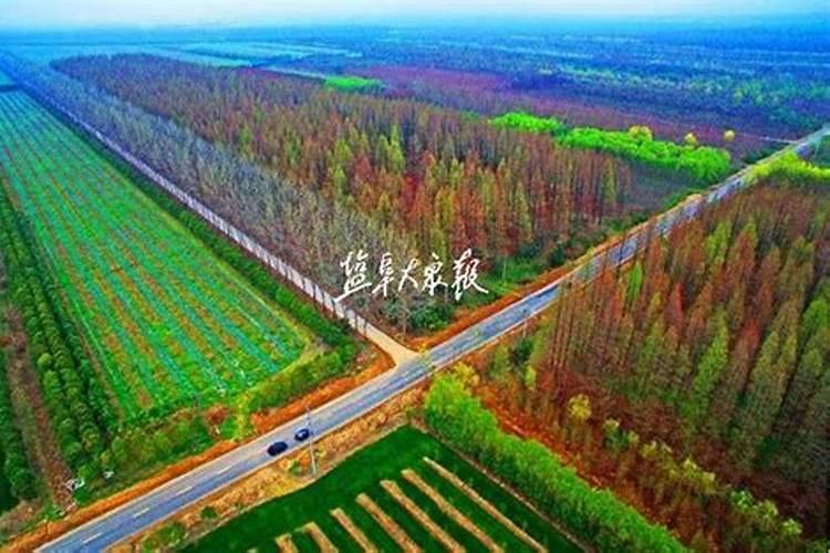 江苏省盐城市有哪些习俗