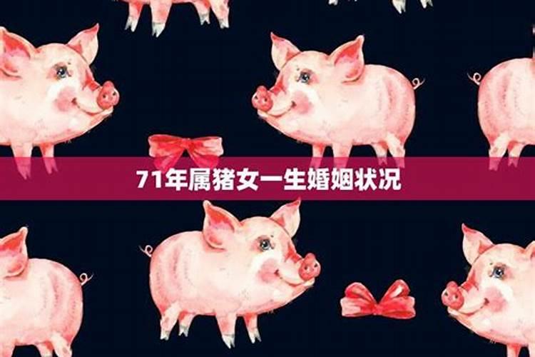 71年属猪女人晚年命运1971年属猪的女人一生命运