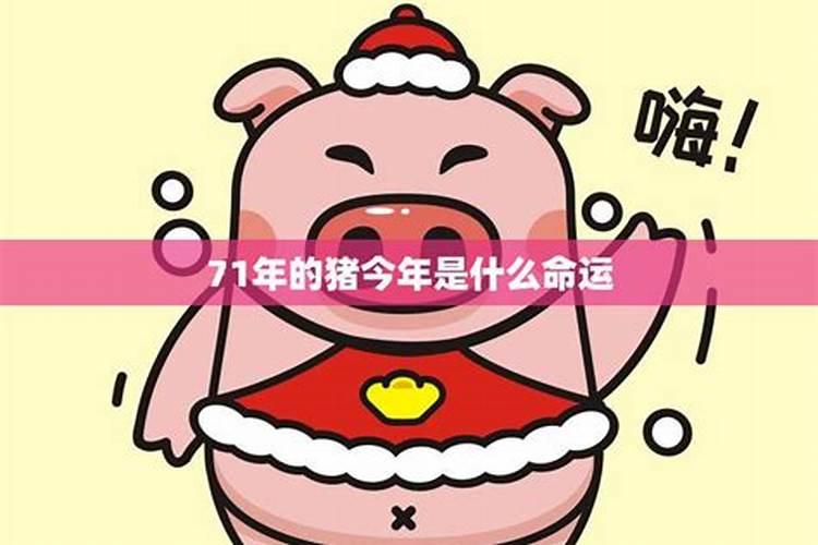 71年属猪人今天财运如何 事业上应酬有很多？