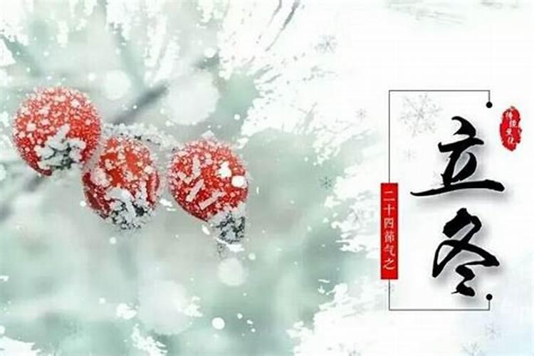 庆祝冬至的活动方案