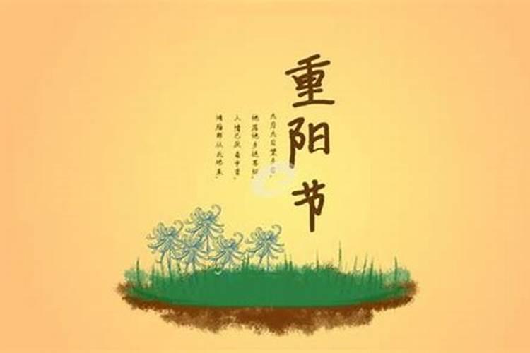 重阳节的风俗传统有哪些