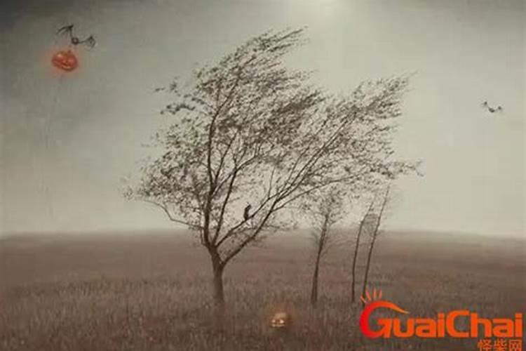 梦见死人复活并追打自己的预兆