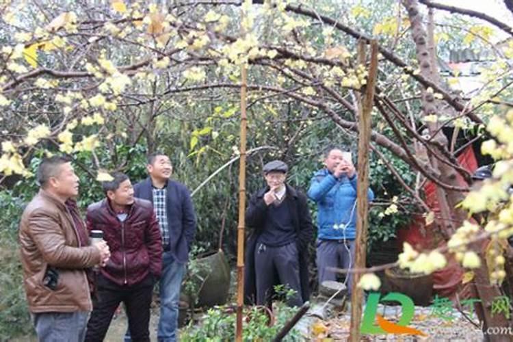 腊八节出生的男孩命运 男孩腊月初八出生好不好