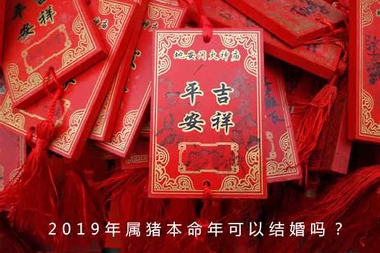 95年属猪的本命年能结婚吗