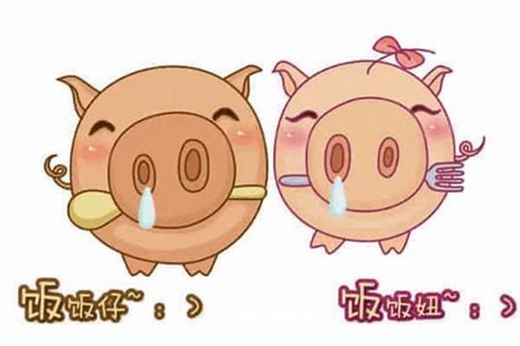 2025年犯太岁的五大生肖有哪些