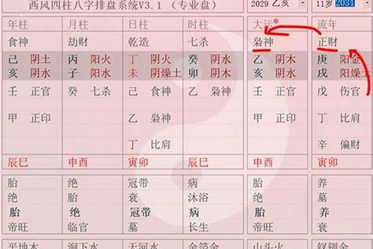 通根是什么意思