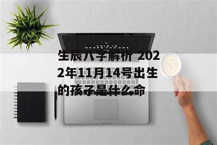 天津天后宫有哪些游玩攻略？