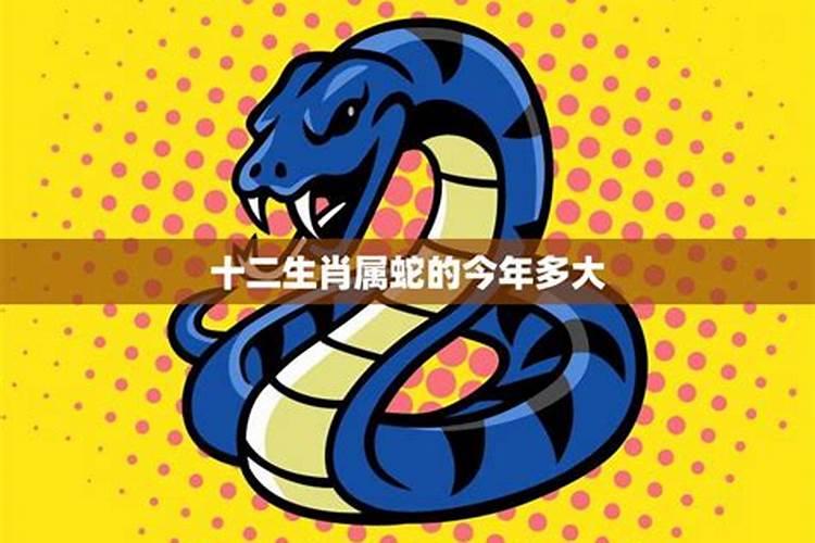 92年出生的属猴人一生命运如何？