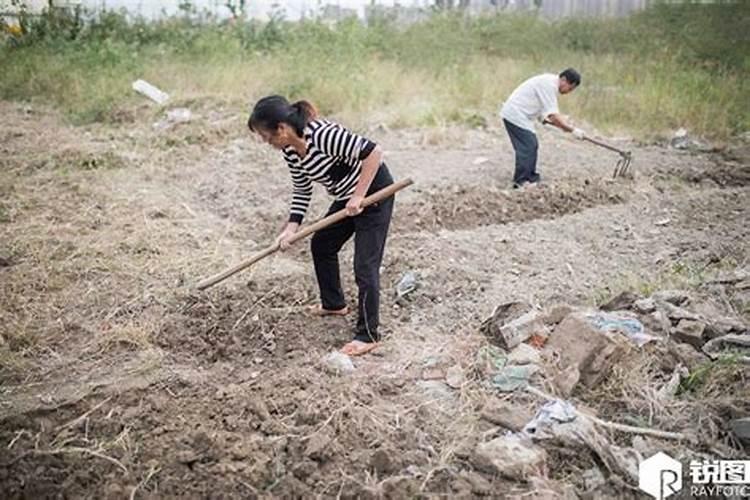 剪纸用于什么节日