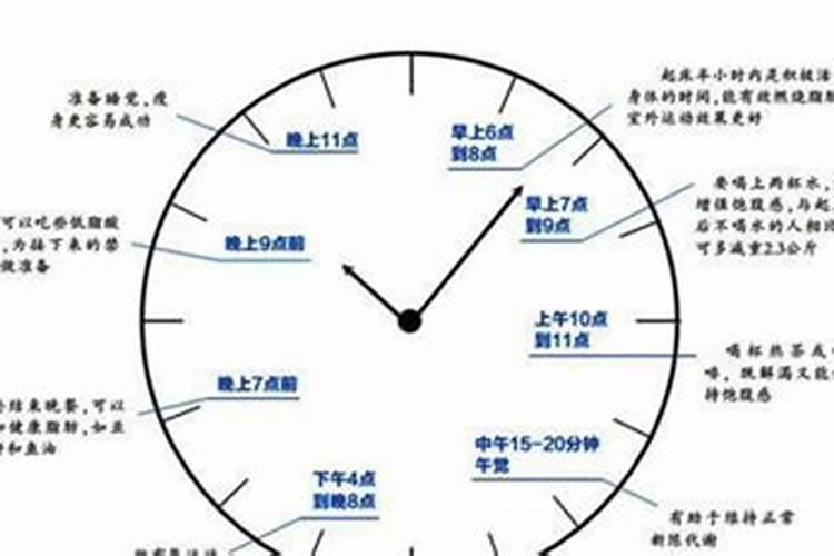 2000年属龙的是什么命
