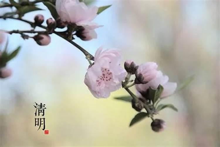 新坟要在清明节前上吗