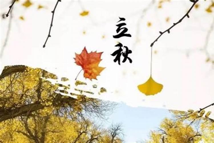 中国的24节气正确排列顺序是怎样的？