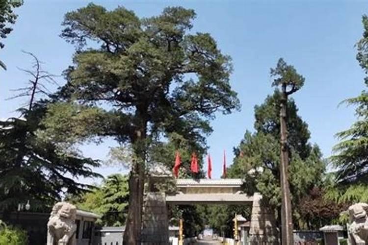 去烈士陵园扫墓的注意事项清明去烈士陵园扫墓需要做什么
