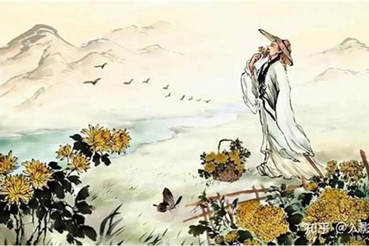 属马五行属什么,是怎样的性格