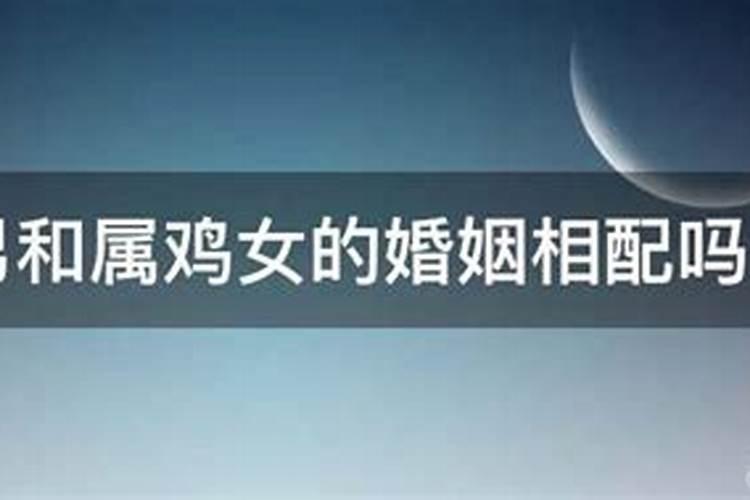 属虎男和属虎女合婚怎样？