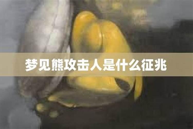 梦见动物攻击自己是什么意思
