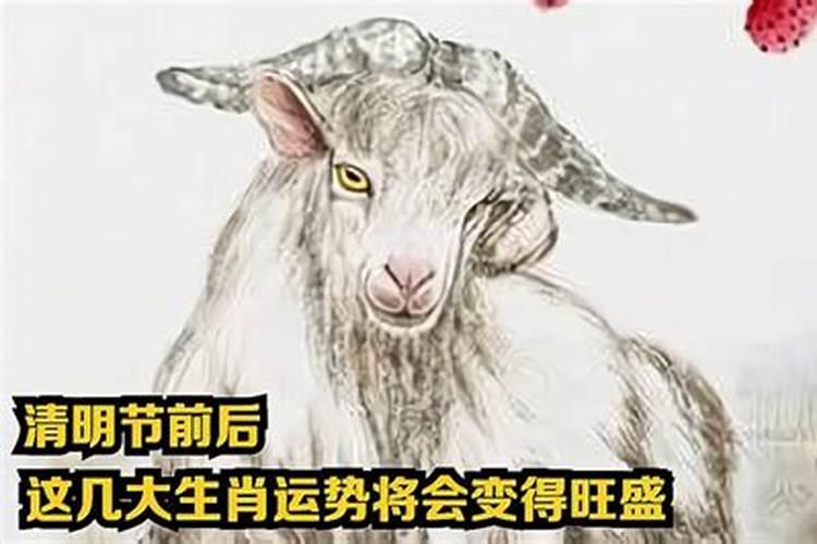 太阳一年四季照射规律
