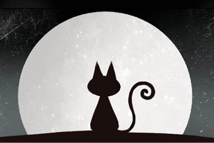 梦见家里有猫什么意思
