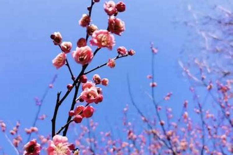 清明节,中元节,还有十月初一是上坟祭祖的日子,这是迷信吗？