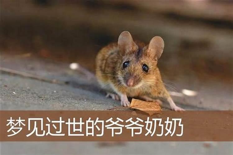 梦到已故的爷爷奶奶预示着什么