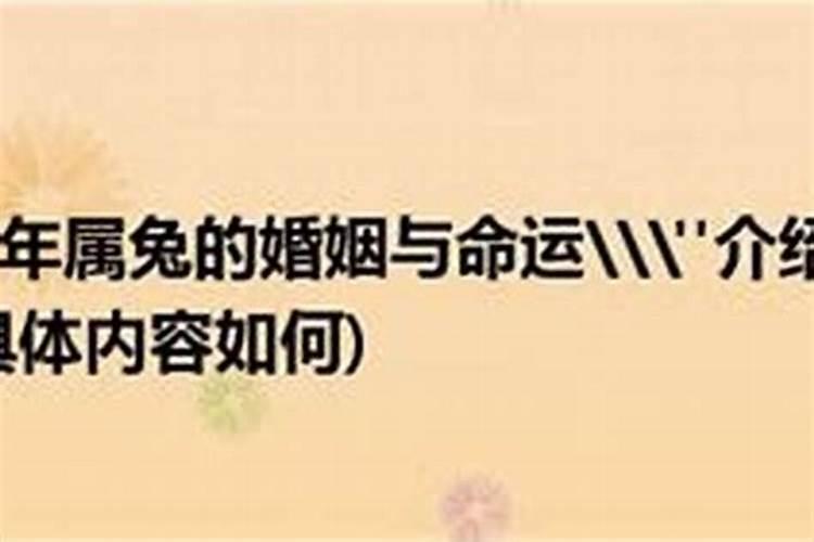 梦见两个女人喜欢自己