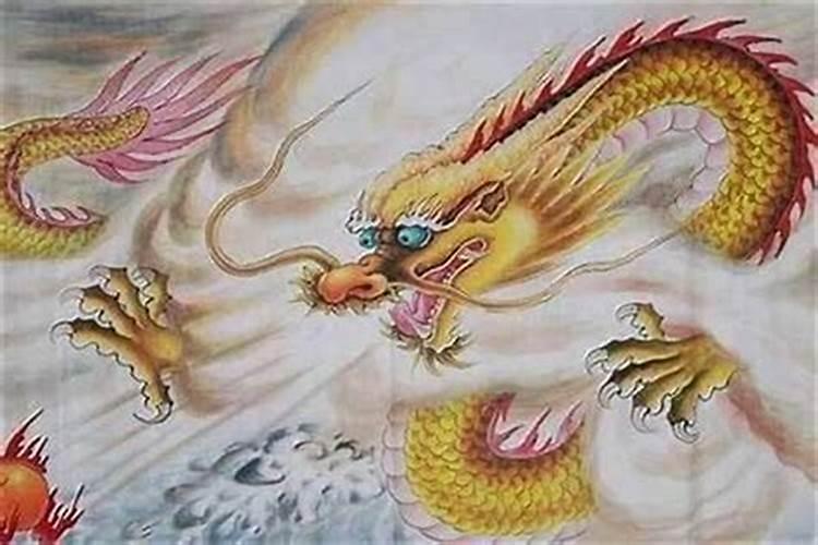 属相龙和属相虎的人合适在一起吗？