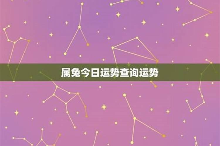 2025属兔人全年12个月运势如何