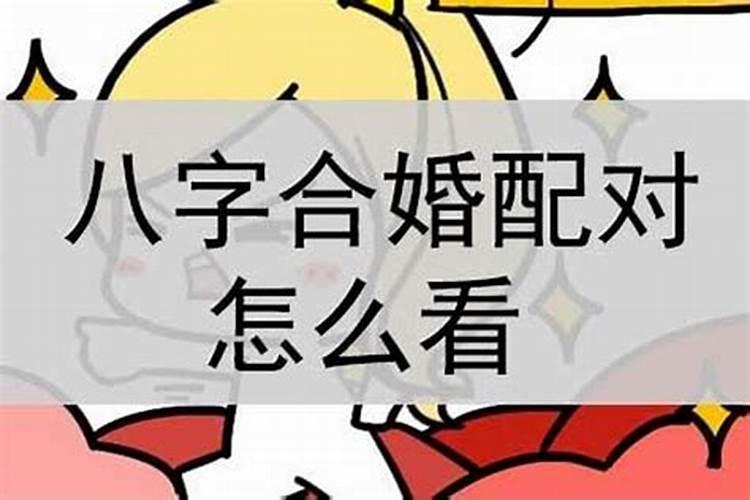 生肖问题,男属兔,女属牛,不相冲,也不合,要带什么东西可以让俩人更相爱...