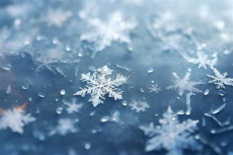 梦见大片大片的雪花落下