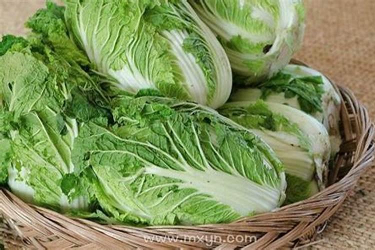 梦见狗抢食