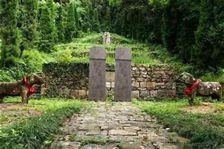 做梦梦到在一个坟地里面,坟地里特别热闹,有柿子树,树上就剩几个柿子了...