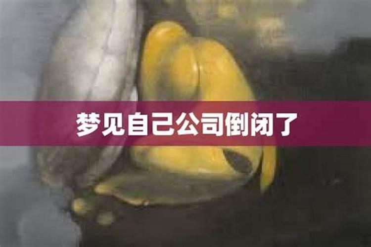 梦见公司倒闭的预兆