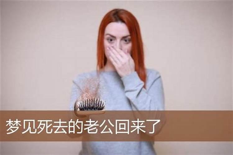 1987年生肖属蛇配什么年的生肖最好