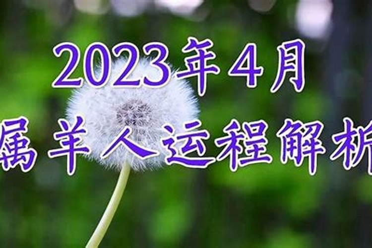农历4月出生属羊人命好吗