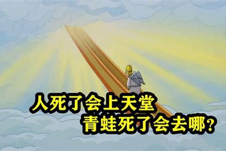 寿终正寝的人会找替身吗