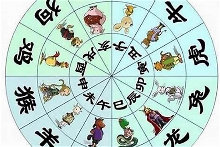 77年属蛇的一生有几次大劫,77年属蛇三大劫难