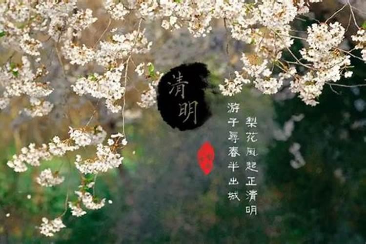 清明节上坟注意什么