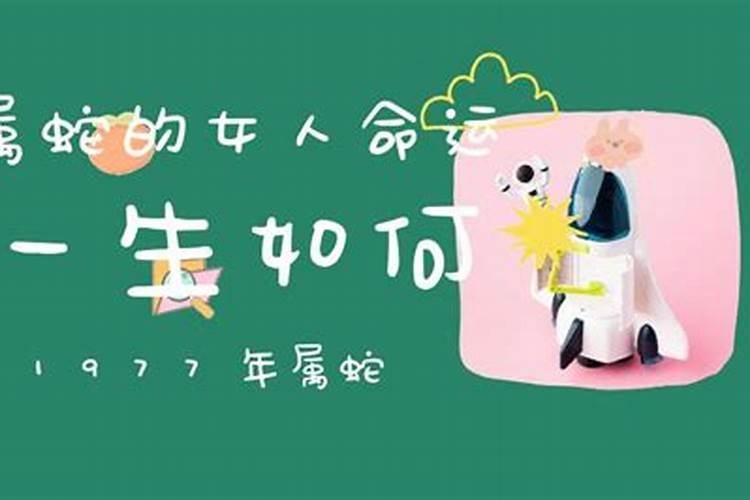 77年蛇男的一生命运如何,1977年属蛇人的后半生命运