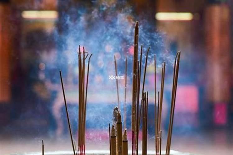梦见我骑车子压这蛇了,然后蛇追我？