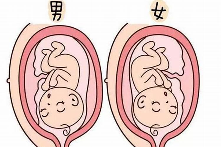 八字预测怀孕很准,无需精准八字,六爻预测何时怀孕,排盘方法见顶楼百 ...
